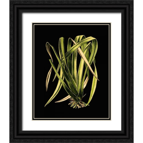 Green Leaves on Black IV Black Ornate Wood Framed Art Print with Double Matting by Vision Studio
