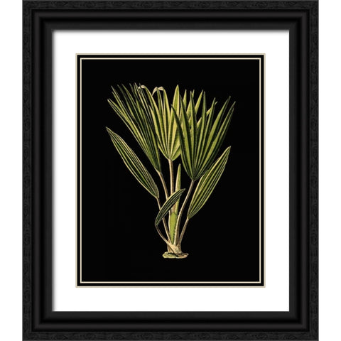 Green Leaves on Black V Black Ornate Wood Framed Art Print with Double Matting by Vision Studio