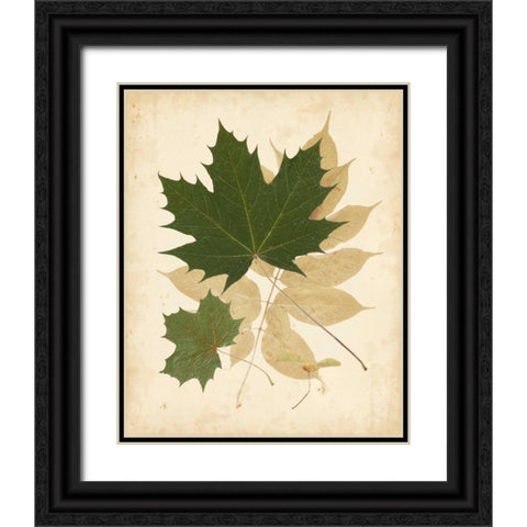 Natures Collage I Black Ornate Wood Framed Art Print with Double Matting by Vision Studio