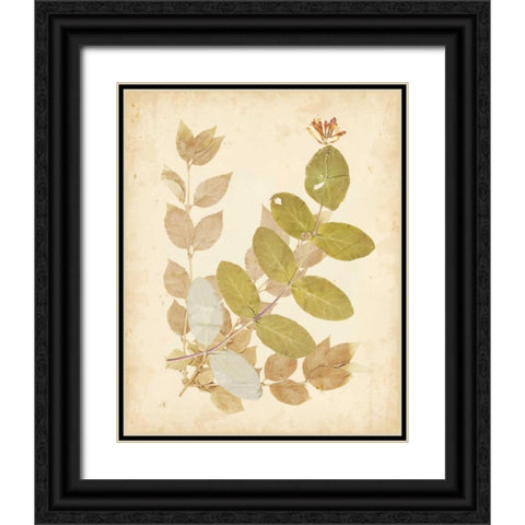 Natures Collage II Black Ornate Wood Framed Art Print with Double Matting by Vision Studio