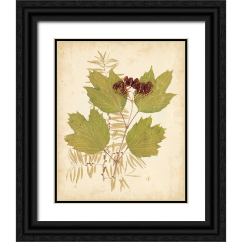 Natures Collage IV Black Ornate Wood Framed Art Print with Double Matting by Vision Studio