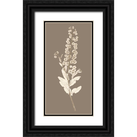 Taupe Nature Study III Black Ornate Wood Framed Art Print with Double Matting by Vision Studio