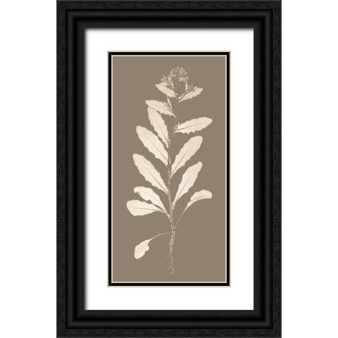 Taupe Nature Study IV Black Ornate Wood Framed Art Print with Double Matting by Vision Studio