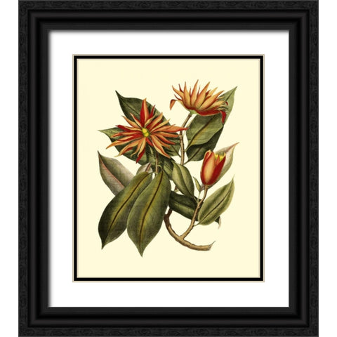 Magnificent Foliage I Black Ornate Wood Framed Art Print with Double Matting by Vision Studio