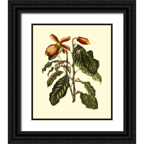 Magnificent Foliage II Black Ornate Wood Framed Art Print with Double Matting by Vision Studio