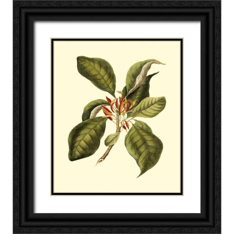 Magnificent Foliage III Black Ornate Wood Framed Art Print with Double Matting by Vision Studio