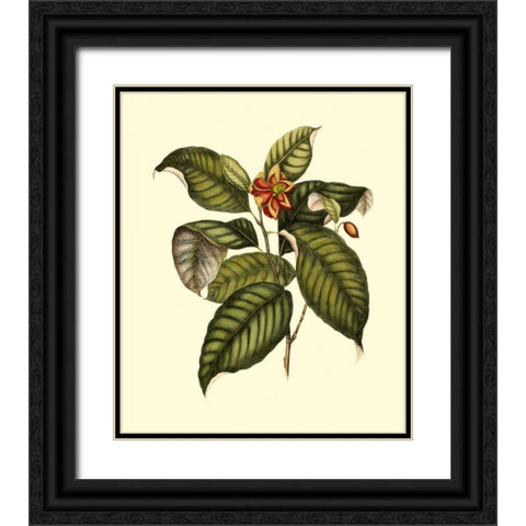 Magnificent Foliage IV Black Ornate Wood Framed Art Print with Double Matting by Vision Studio