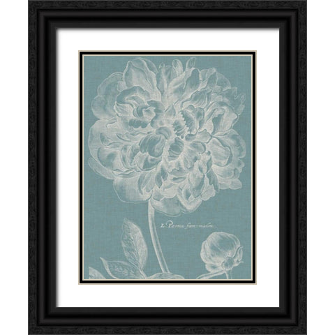 Graceful Peony I Black Ornate Wood Framed Art Print with Double Matting by Vision Studio