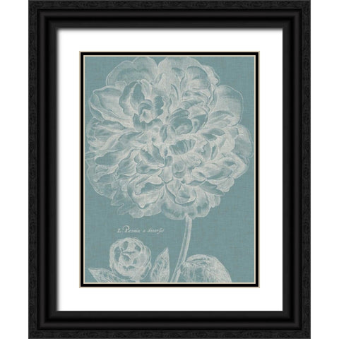 Graceful Peony II Black Ornate Wood Framed Art Print with Double Matting by Vision Studio