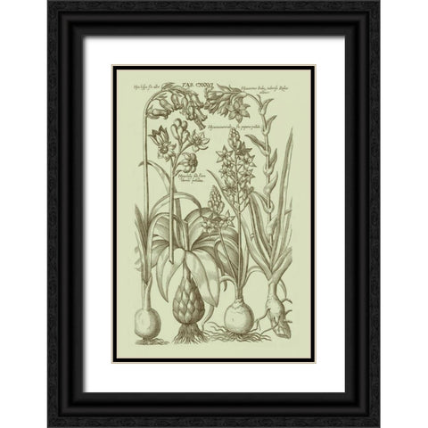 Garden of Flora I Black Ornate Wood Framed Art Print with Double Matting by Vision Studio