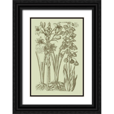 Garden of Flora II Black Ornate Wood Framed Art Print with Double Matting by Vision Studio
