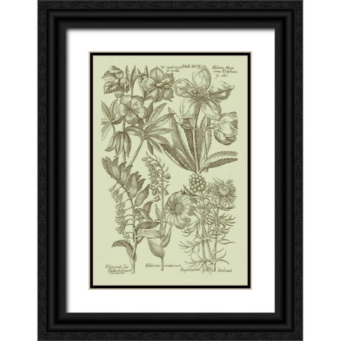 Garden of Flora III Black Ornate Wood Framed Art Print with Double Matting by Vision Studio