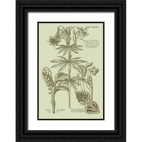 Garden of Flora IV Black Ornate Wood Framed Art Print with Double Matting by Vision Studio