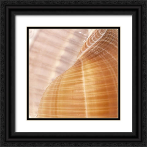 Organic Elements III Black Ornate Wood Framed Art Print with Double Matting by Vision Studio