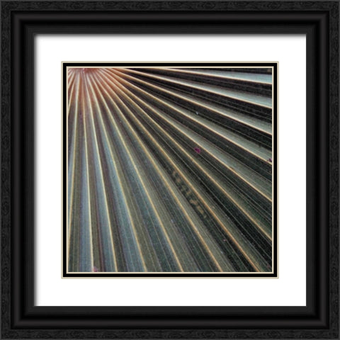 Organic Elements VI Black Ornate Wood Framed Art Print with Double Matting by Vision Studio