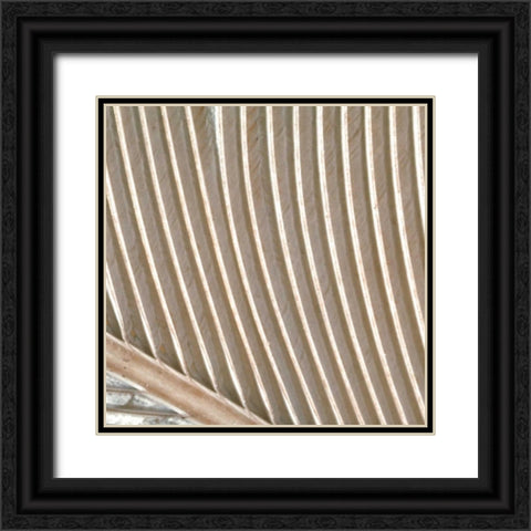 Organic Elements VIII Black Ornate Wood Framed Art Print with Double Matting by Vision Studio