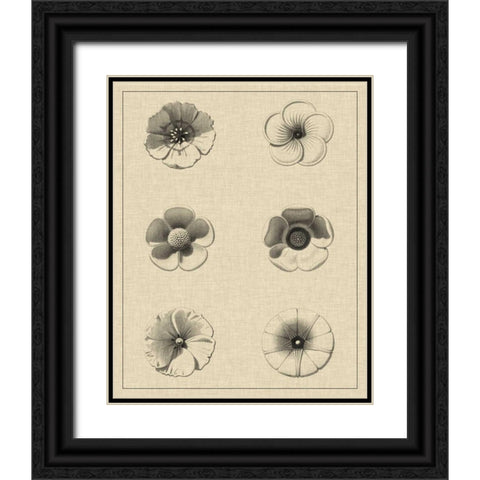 Floral Rosette I Black Ornate Wood Framed Art Print with Double Matting by Vision Studio
