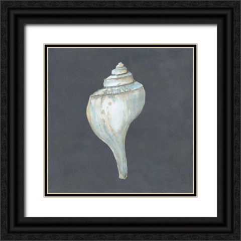 Shell on Slate IV Black Ornate Wood Framed Art Print with Double Matting by Meagher, Megan