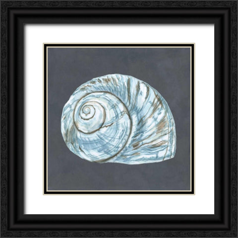 Shell on Slate VIII Black Ornate Wood Framed Art Print with Double Matting by Meagher, Megan