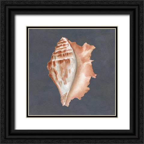 Shell on Slate IX Black Ornate Wood Framed Art Print with Double Matting by Meagher, Megan