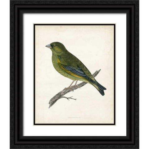Morris Greenfinch Black Ornate Wood Framed Art Print with Double Matting by Morris