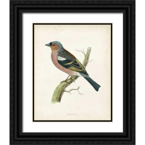 Morris Chaffinch Black Ornate Wood Framed Art Print with Double Matting by Morris