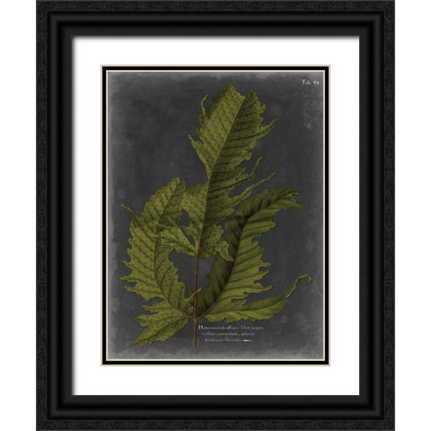 Foliage Dramatique I Black Ornate Wood Framed Art Print with Double Matting by Vision Studio
