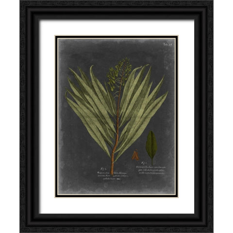Foliage Dramatique II Black Ornate Wood Framed Art Print with Double Matting by Vision Studio