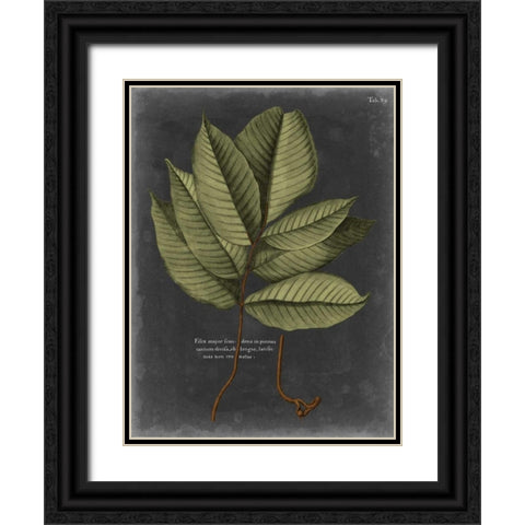 Foliage Dramatique III Black Ornate Wood Framed Art Print with Double Matting by Vision Studio