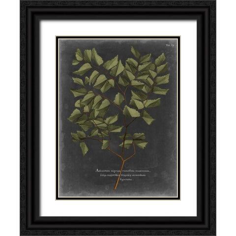 Foliage Dramatique V Black Ornate Wood Framed Art Print with Double Matting by Vision Studio
