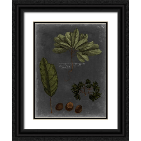 Foliage Dramatique VI Black Ornate Wood Framed Art Print with Double Matting by Vision Studio