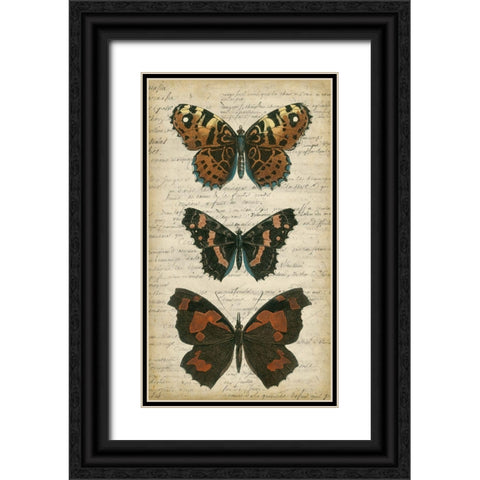 Butterfly Script II Black Ornate Wood Framed Art Print with Double Matting by Vision Studio