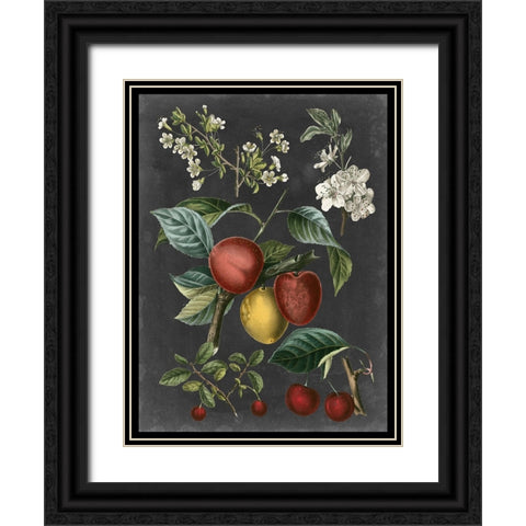 Orchard Varieties III Black Ornate Wood Framed Art Print with Double Matting by Vision Studio