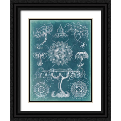 Sealife Blueprint III Black Ornate Wood Framed Art Print with Double Matting by Vision Studio
