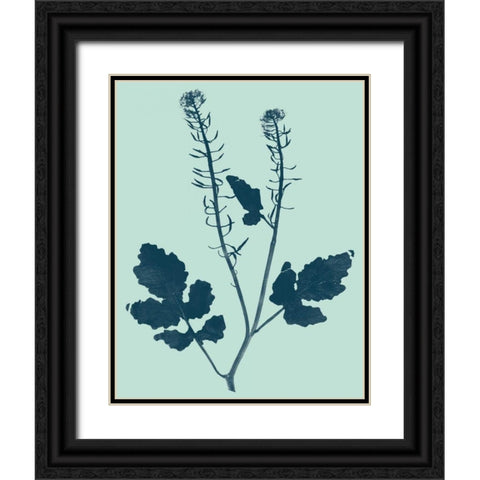 Indigo and Mint Botanical Study I Black Ornate Wood Framed Art Print with Double Matting by Vision Studio
