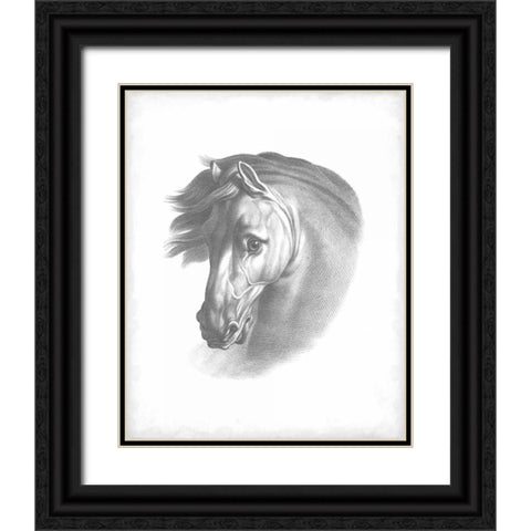 Equestrian Blueprint I Black Ornate Wood Framed Art Print with Double Matting by Vision Studio
