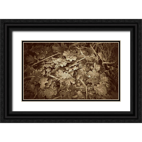 Autumn Leaves Black Ornate Wood Framed Art Print with Double Matting by Bell, Lillian