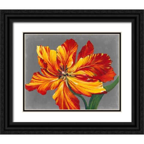 Tulip Portrait I Black Ornate Wood Framed Art Print with Double Matting by OToole, Tim