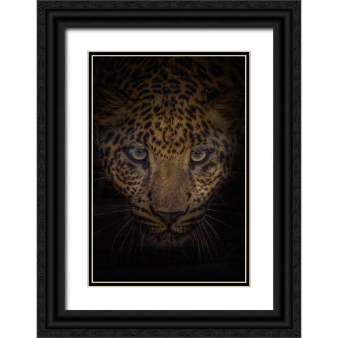 No Fear Black Ornate Wood Framed Art Print with Double Matting by Parker, Kelley