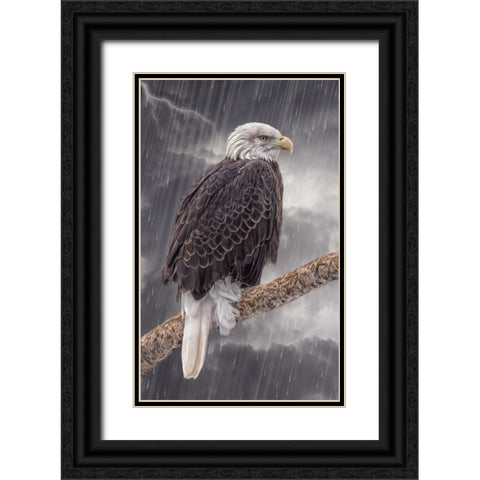 Defiance Black Ornate Wood Framed Art Print with Double Matting by Parker, Kelley