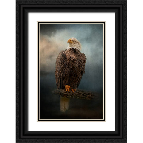 Master of the Sky Black Ornate Wood Framed Art Print with Double Matting by Parker, Kelley
