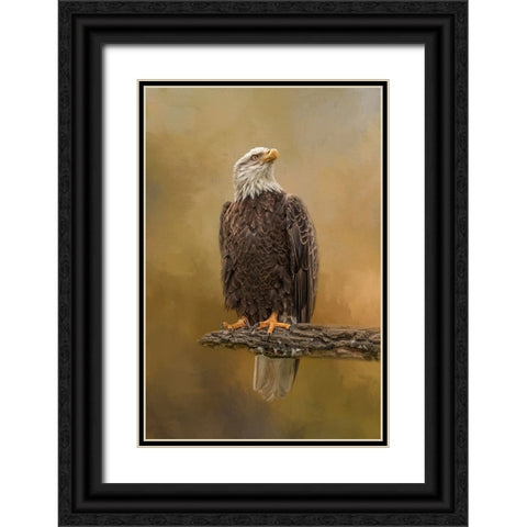 Peace Seeker Black Ornate Wood Framed Art Print with Double Matting by Parker, Kelley