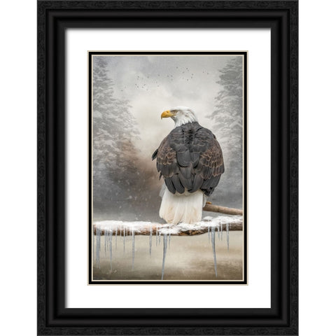 Winter Survivor Black Ornate Wood Framed Art Print with Double Matting by Parker, Kelley