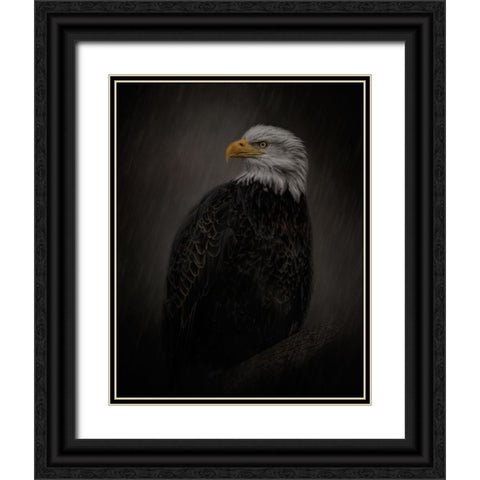 Serenity in Strength Black Ornate Wood Framed Art Print with Double Matting by Parker, Kelley