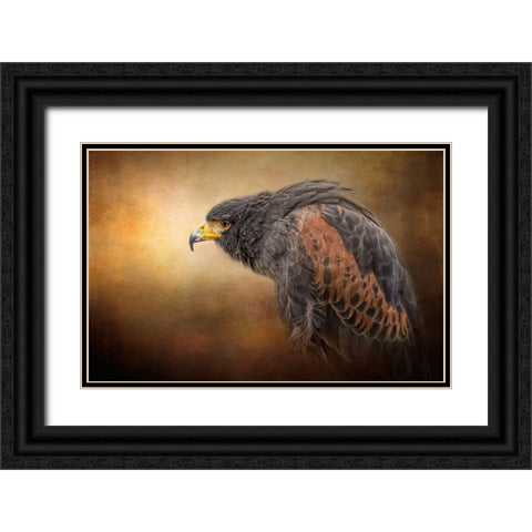 Hawkeye Black Ornate Wood Framed Art Print with Double Matting by Parker, Kelley