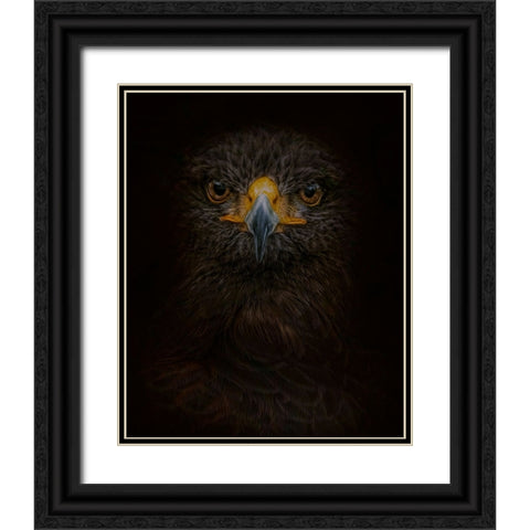 Searching for Darkness Black Ornate Wood Framed Art Print with Double Matting by Parker, Kelley