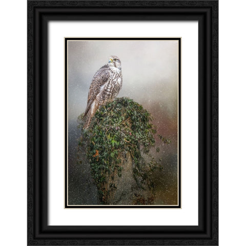 Snowfall Black Ornate Wood Framed Art Print with Double Matting by Parker, Kelley