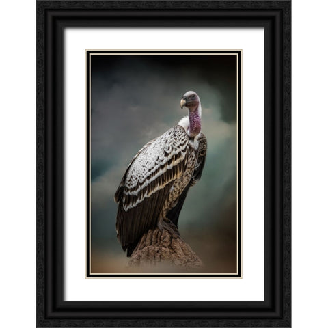 Looking for Dinner Black Ornate Wood Framed Art Print with Double Matting by Parker, Kelley