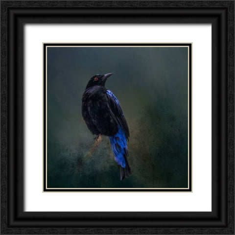 Taking the Red Eye Black Ornate Wood Framed Art Print with Double Matting by Parker, Kelley
