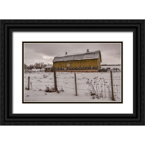 Old Yeller Black Ornate Wood Framed Art Print with Double Matting by Parker, Kelley